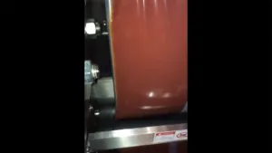 Ensacheuse verticale FFS pour sachets liquides sans air